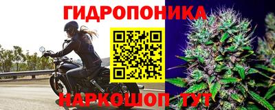марки nbome Тулун