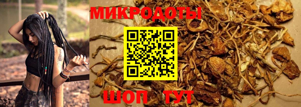 Богородск  Псилоцибиновые грибы GOLDEN TEACHER  Вход с VPN 